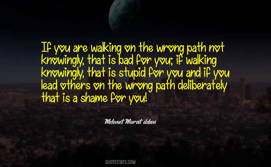 Quotes About Walking Your Own Path #675685