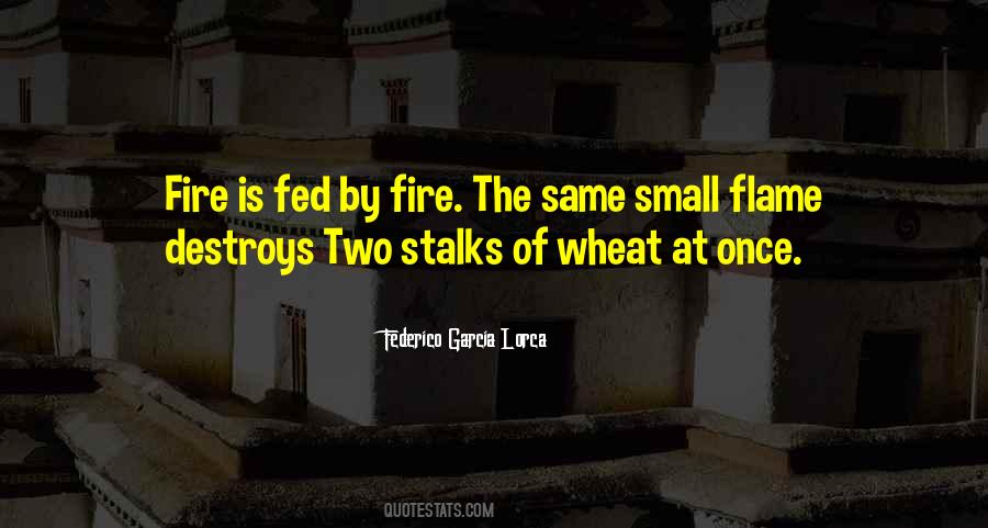 Quotes About Wheat #1703500