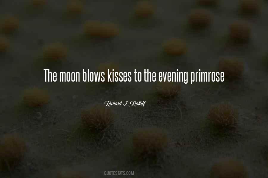 Quotes About Kissing Under The Moon #900638