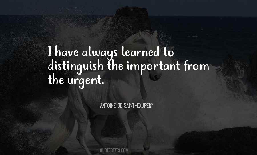 Quotes About Urgent And Important #822730
