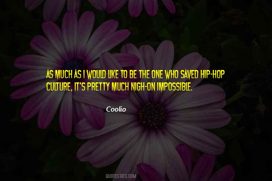 Quotes About Hip Hop Culture #1767584