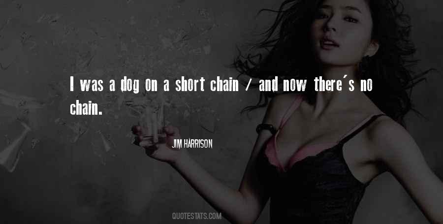 Quotes About A Dog #1711666