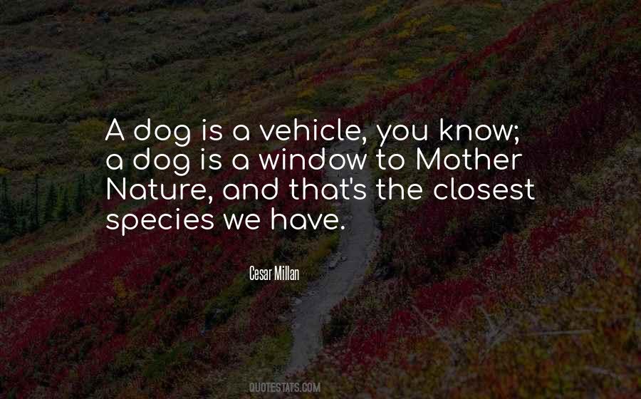Quotes About A Dog #1746722