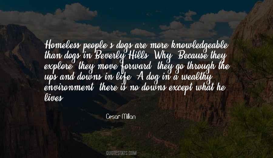 Quotes About A Dog #1775330