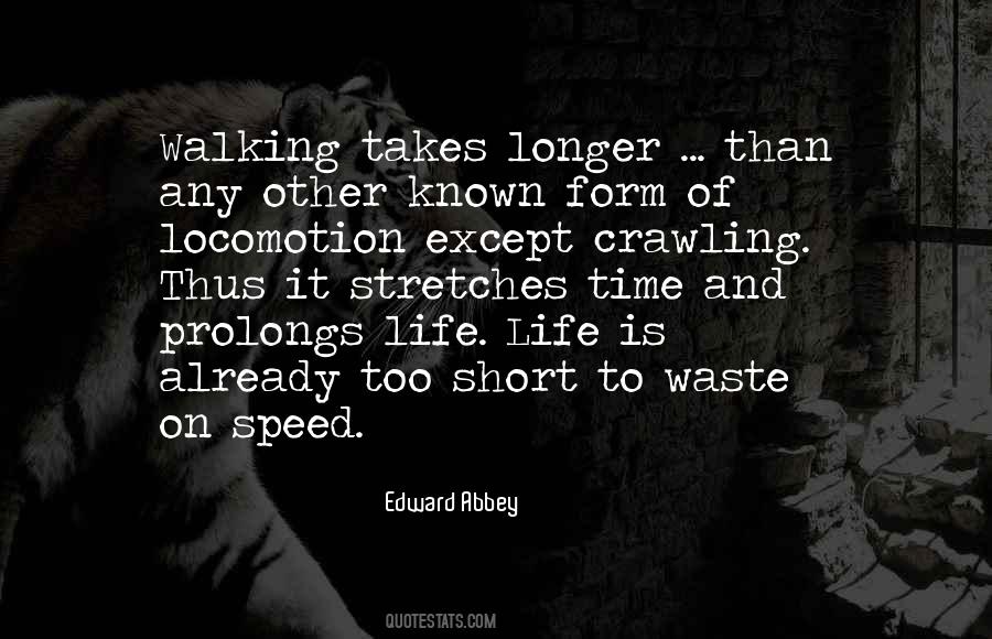 Quotes About Speed Of Life #503477