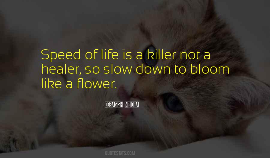 Quotes About Speed Of Life #661966