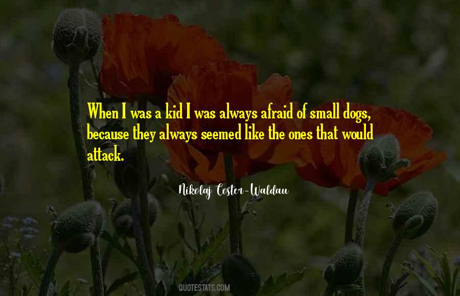 Quotes About Small Dogs #1081303