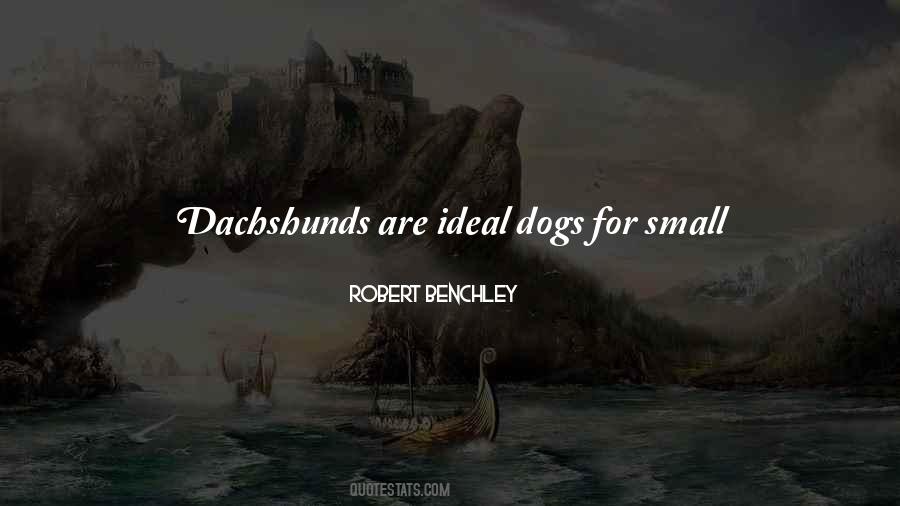 Quotes About Small Dogs #1126958