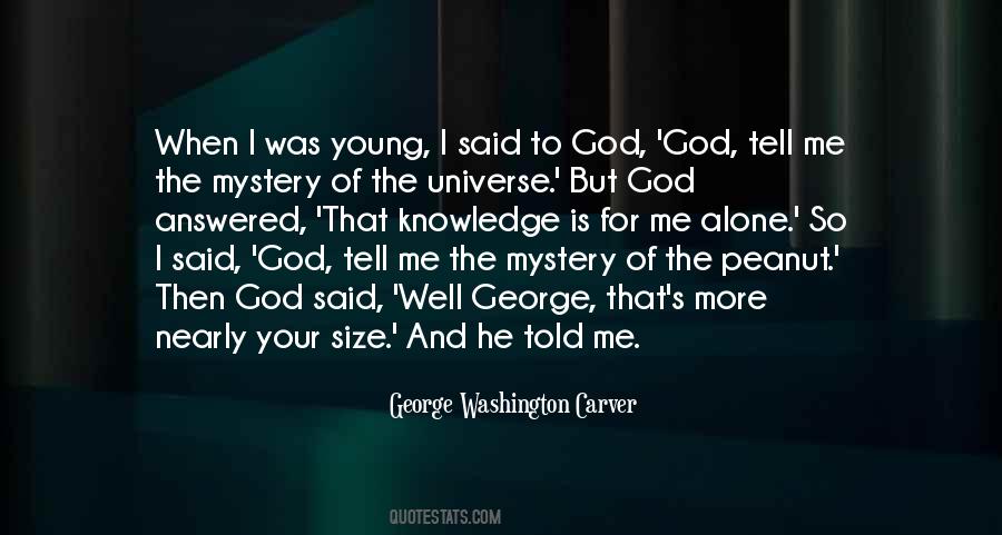 Quotes About The Mystery Of The Universe #155577