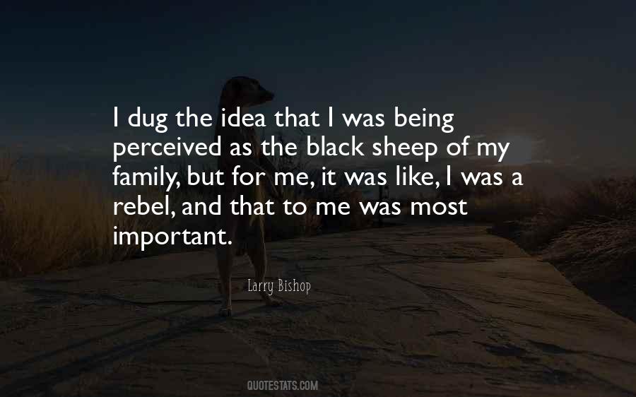 Quotes About Being A Black Sheep Of The Family #1032851