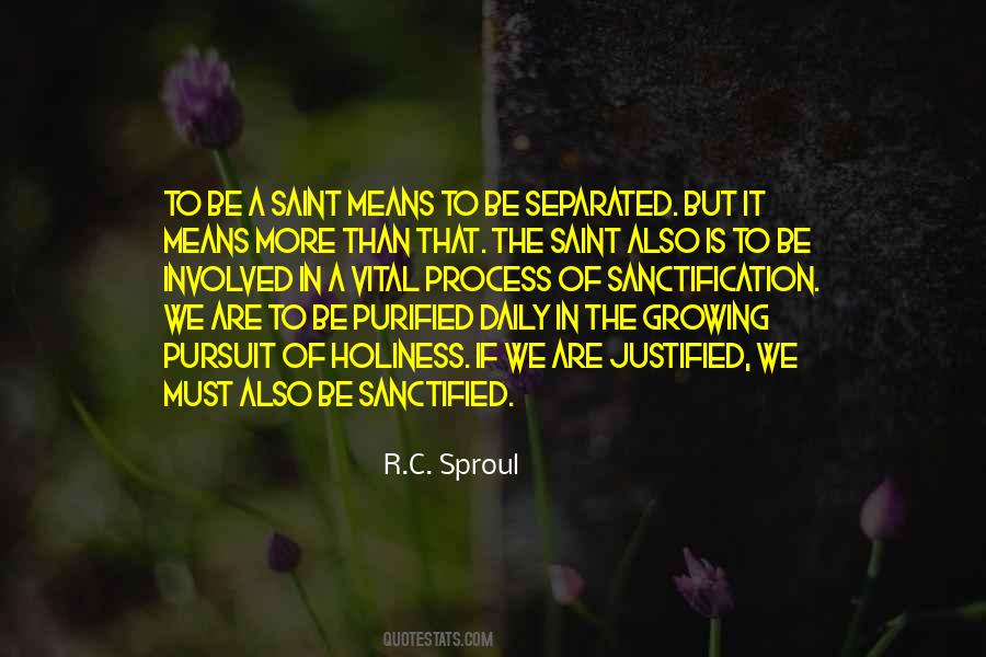 Quotes About Saint Holiness #1543737