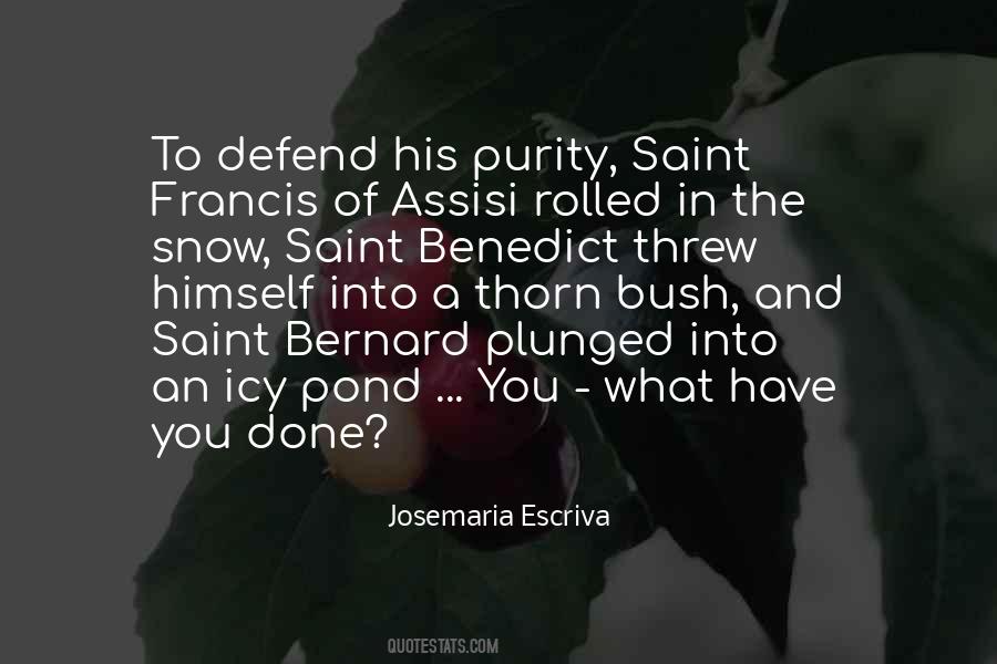 Quotes About Saint Francis Of Assisi #1269304