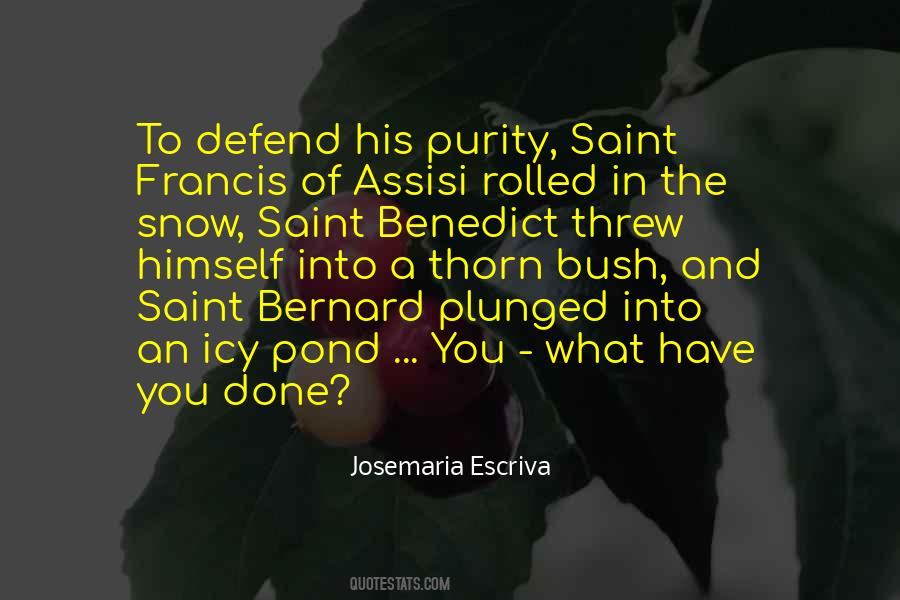 Quotes About Saint Benedict #1269304
