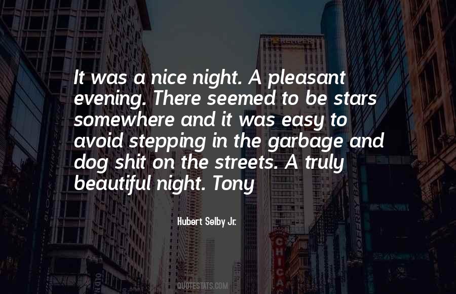 Quotes About Night And Stars #248130