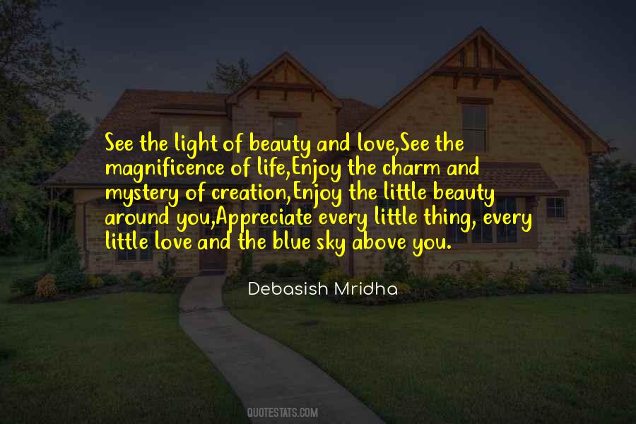 Enjoy Beauty Quotes #143429
