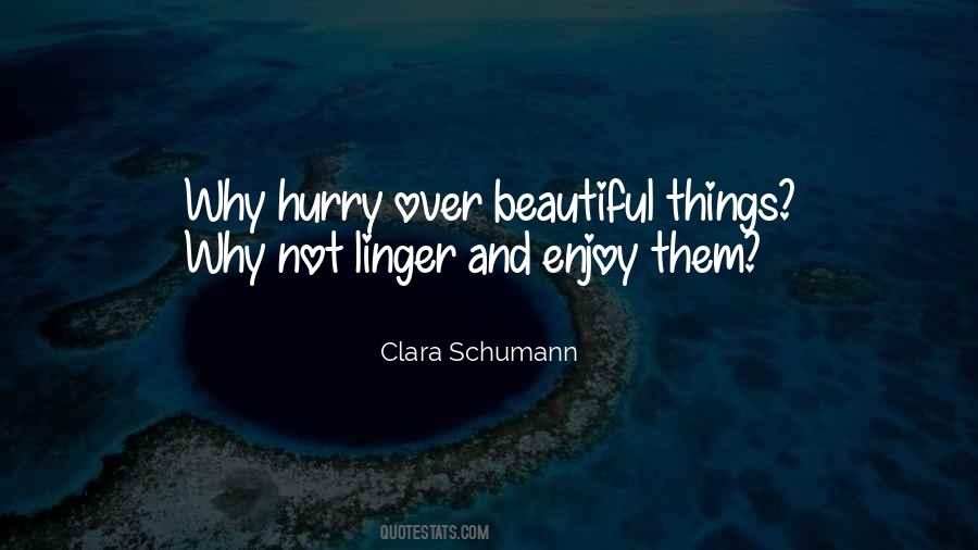 Enjoy Beauty Quotes #212464