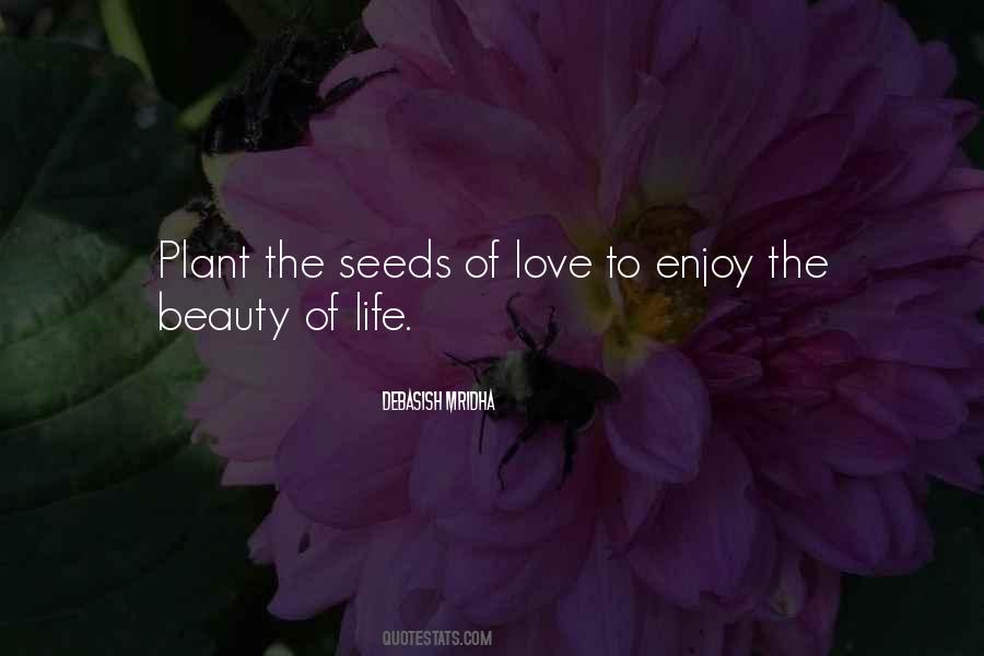 Enjoy Beauty Quotes #736416