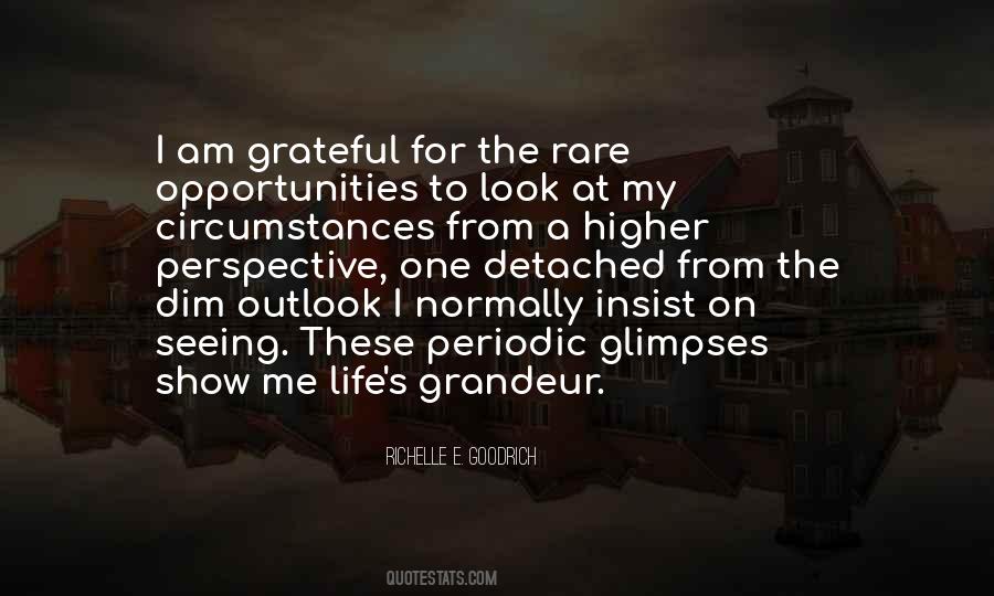 Quotes About Grateful Life #167481