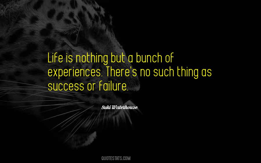 Life S Experiences Quotes #523297