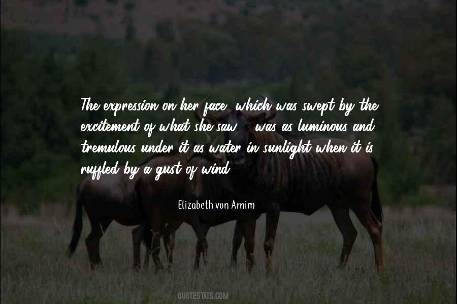Wind Gust Quotes #1151425