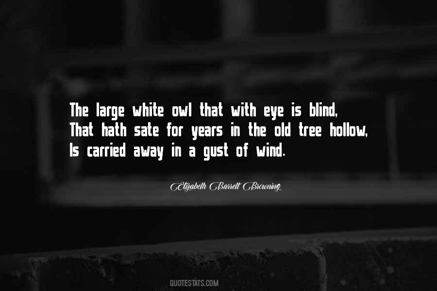 Wind Gust Quotes #238491