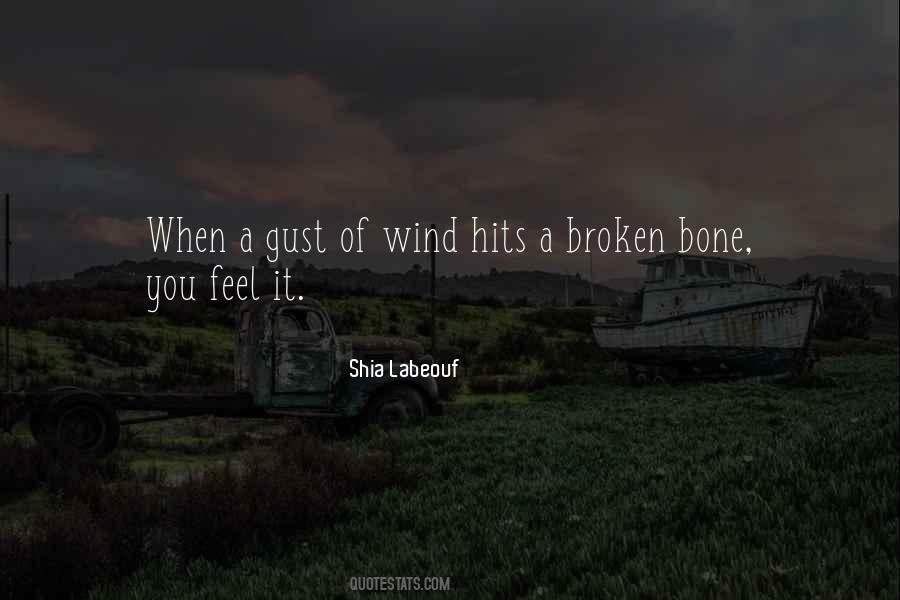 Wind Gust Quotes #339719