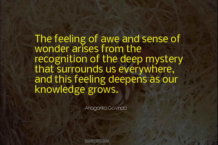 Quotes About Wonder And Awe #1041724 Quotes About Wonder And Awe #1041724