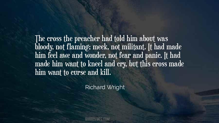 Quotes About Wonder And Awe #1571351 Quotes About Wonder And Awe #1571351