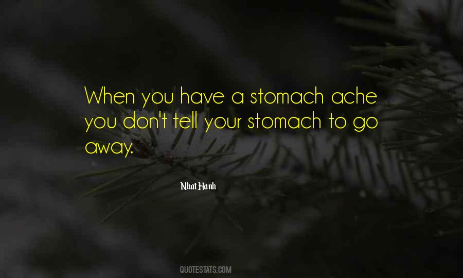 Quotes About Stomach Ache #737948