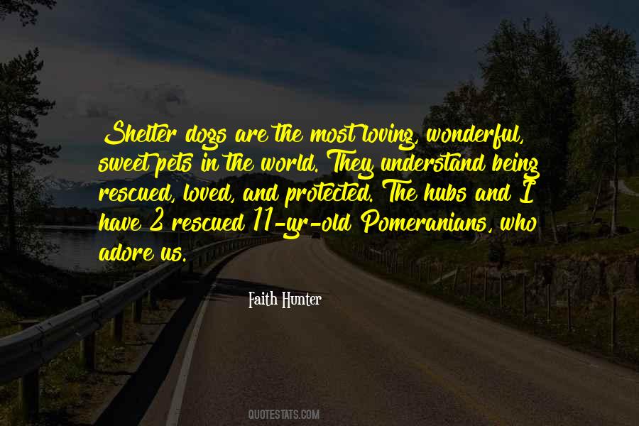 Quotes About Shelter Pets #958623