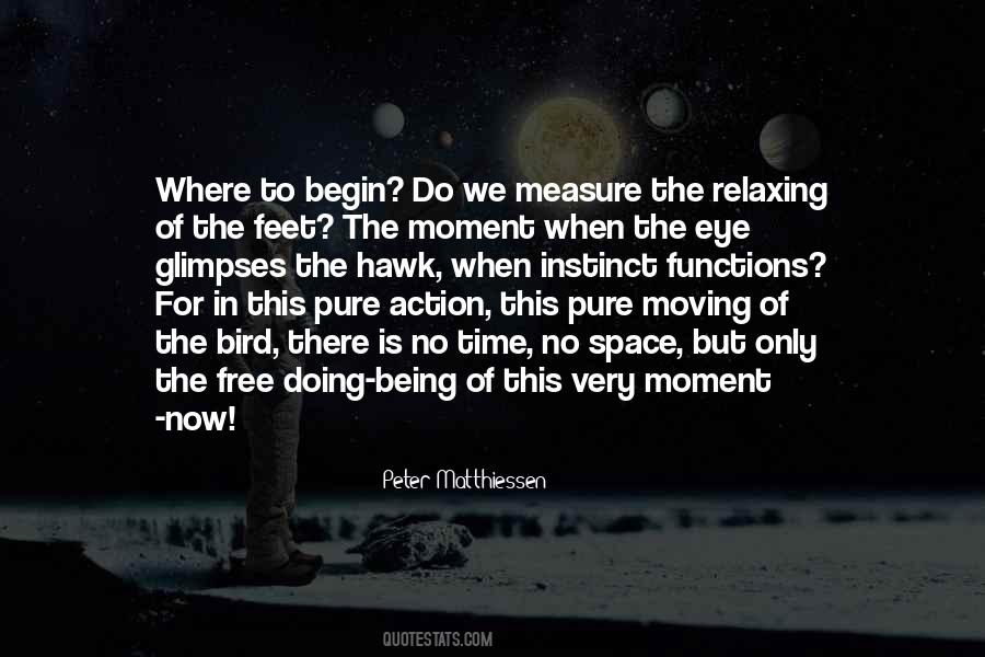 Quotes About Instinct #1703025