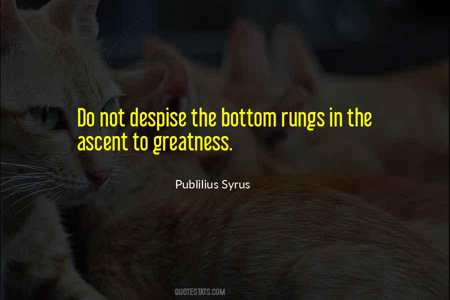 Quotes About Despise #1342453