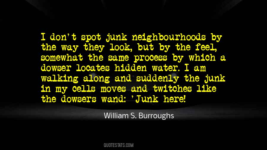 Quotes About I Like The Way I Am #271766