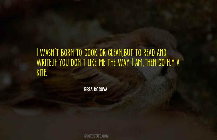 Quotes About I Like The Way I Am #375304
