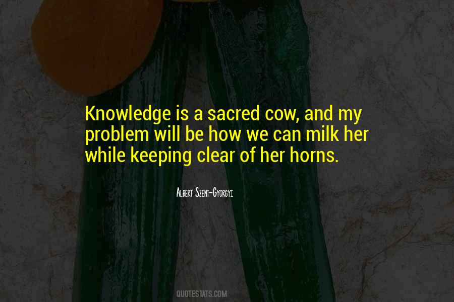 Quotes About Sacred Cows #1811112