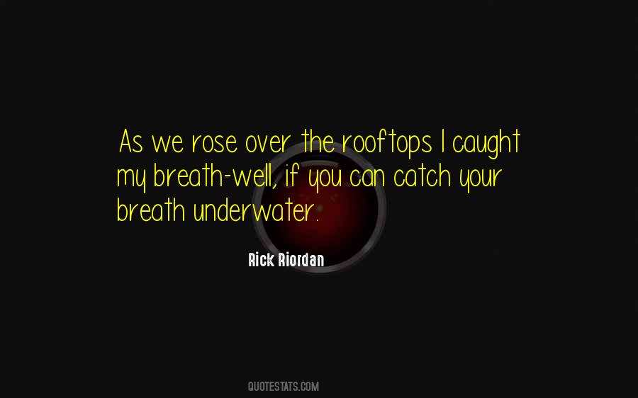 Quotes About Rooftops #75285