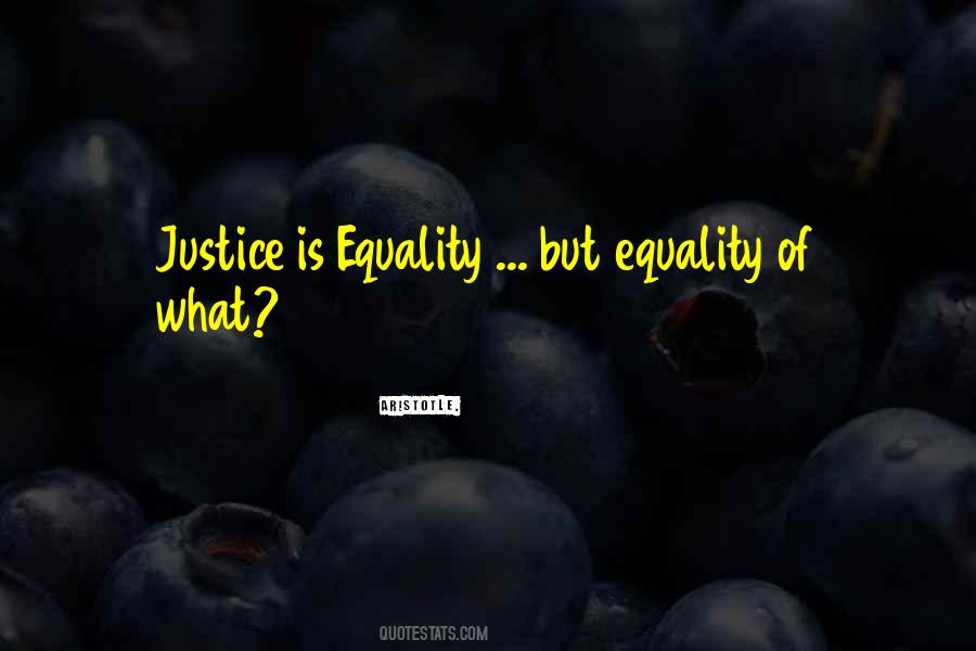 Justice Equality Quotes #485971