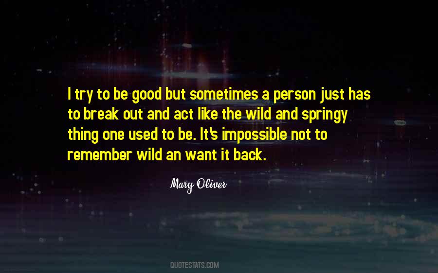 Quotes About Trying To Be A Good Person #46987