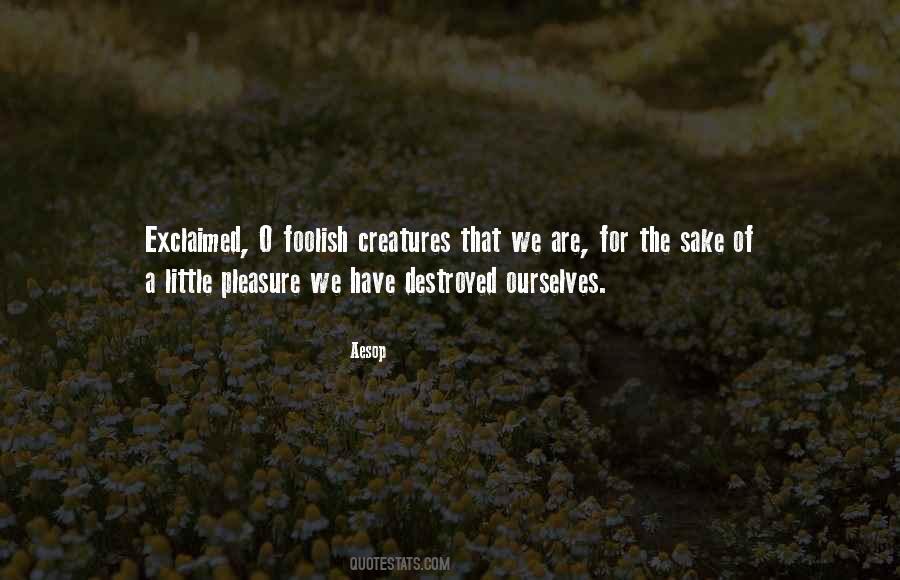 Quotes About Little Creatures #1282769