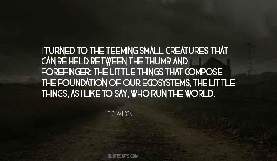 Quotes About Little Creatures #192123