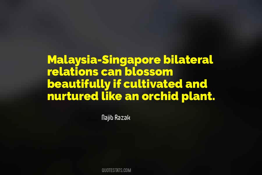 Quotes About Malaysia #114671