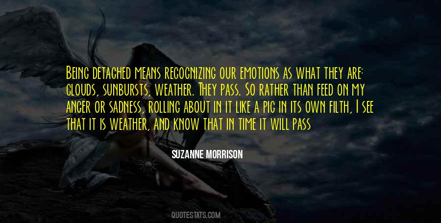 Quotes About Sadness And Anger #1671110