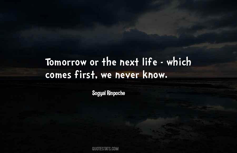 Quotes About Tomorrow Never Comes #1233037