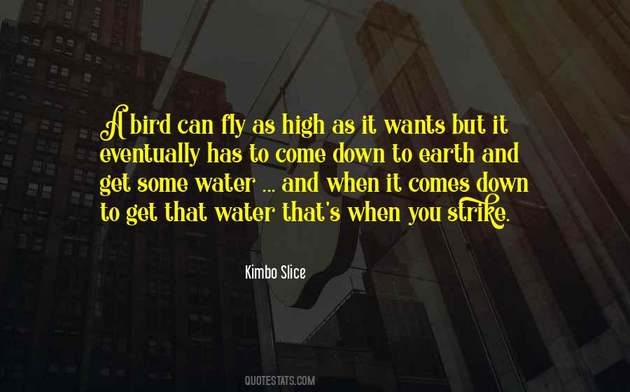 Quotes About Fly High #1094719