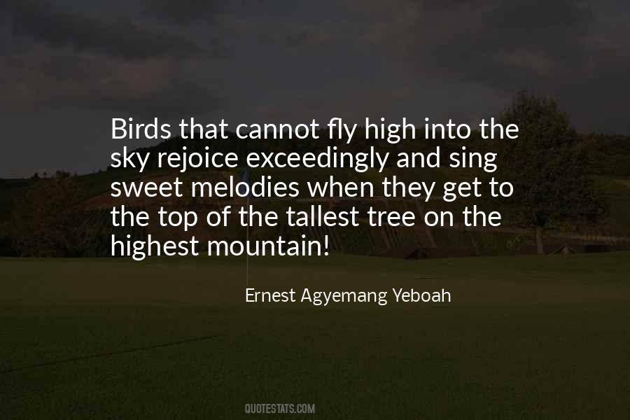 Quotes About Fly High #207134