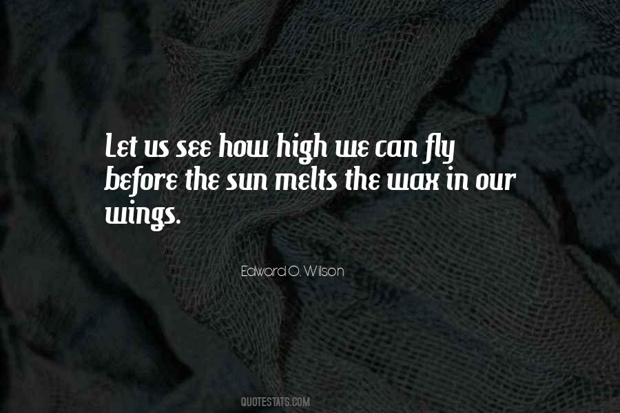 Quotes About Fly High #735004