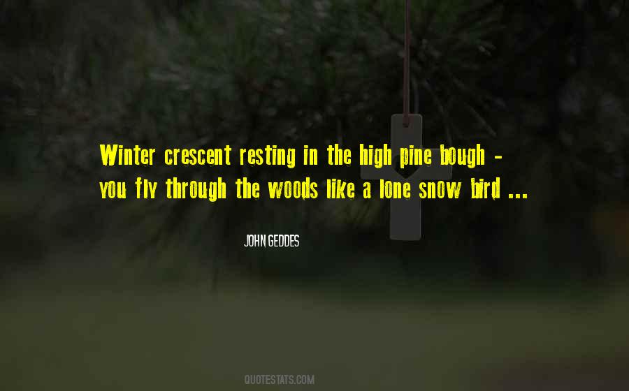 Quotes About Fly High #923617