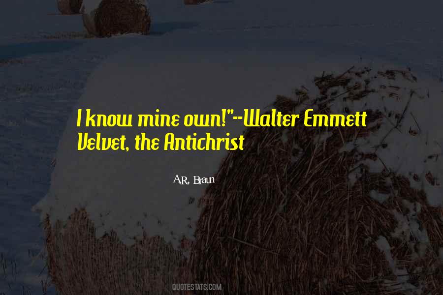 Quotes About Emmett Till #439081