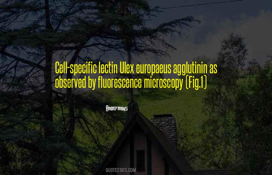 Quotes About Microscopy #489455