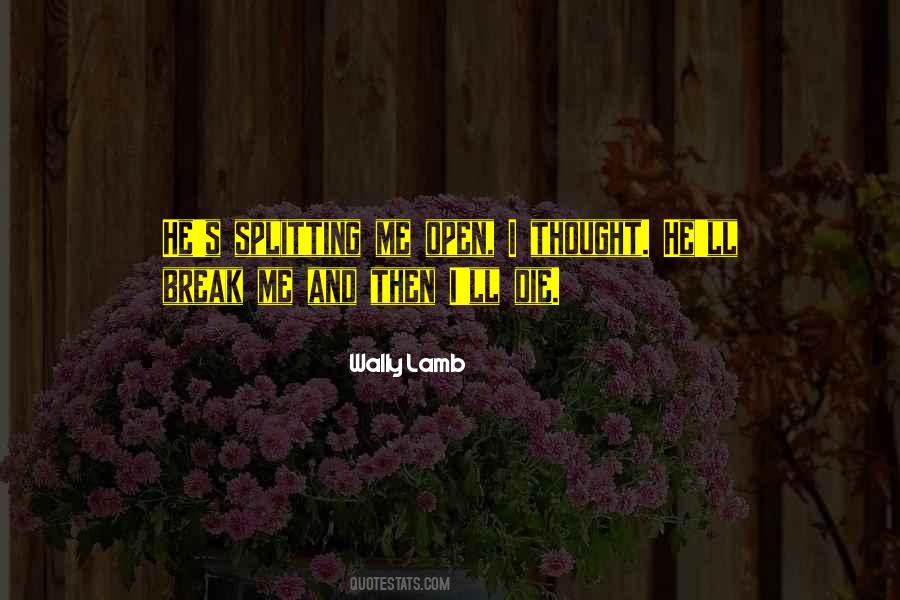 Quotes About Splitting Up #946529